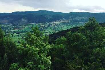 Merkez Pansiyon