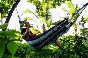 Odoya Beach Hostel