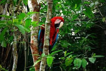 پانسیون Villa Hermosa De Tambopata