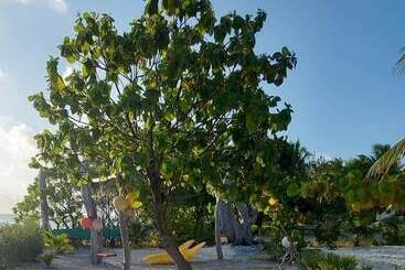 Rangiroa Tiputa Lodge B&b