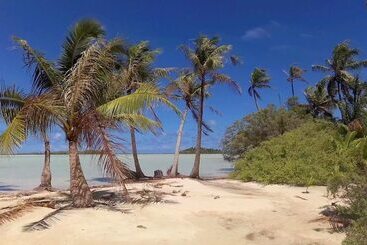 Rangiroa Tiputa Lodge B&b