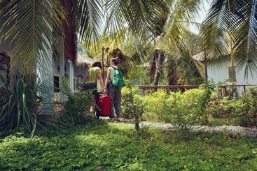 تختخواب و صبحانه Homestay Bentre Coco Lodge