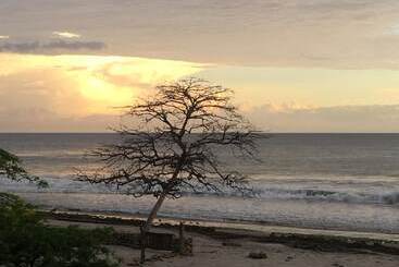 هتل 99 Surf Lodge