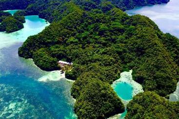 هتل Ngellil Nature Island Resort