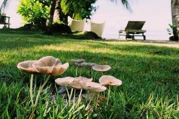 هتل Ngellil Nature Island Resort