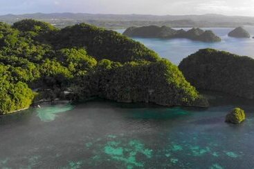 هتل Ngellil Nature Island Resort