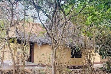 هتل Selous Mapumziko Lodge