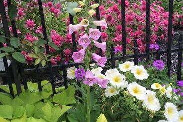 تختخواب و صبحانه Annie Wiggins Guest House