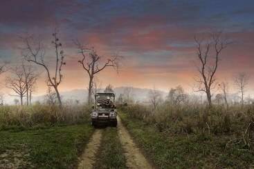 هتل Barahi Jungle Lodge
