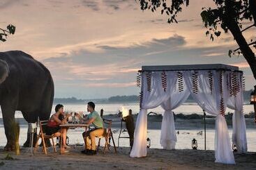 هتل Barahi Jungle Lodge