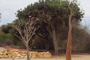هتل Caliente Beach Lodge