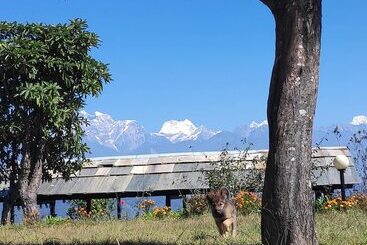 هتل Charikot Panorama Resort