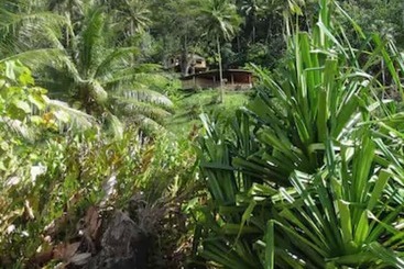 هتل Fare Oviri Lodge