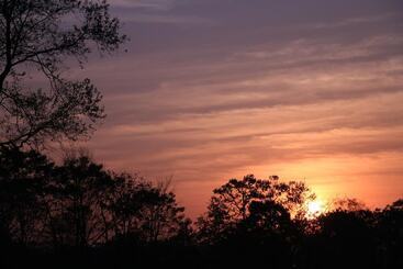 هتل Sarang Wildlife Sanctuary