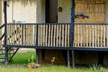 هتل Sarang Wildlife Sanctuary
