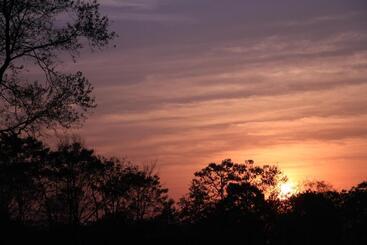 هتل Sarang Wildlife Sanctuary
