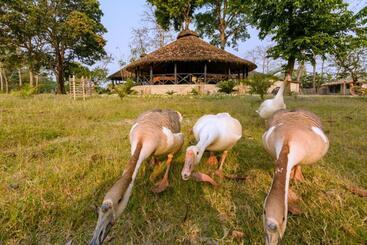 هتل Sarang Wildlife Sanctuary