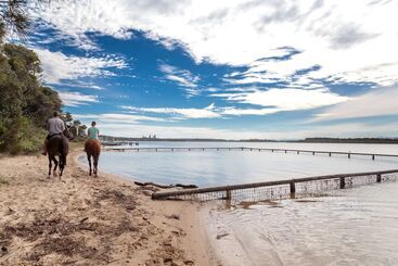 渡假胜地  Big4 Manning Point Holiday Park