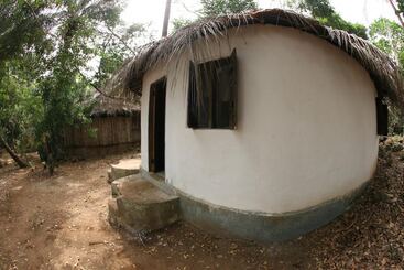 هتل Daltons Banana Guesthouse