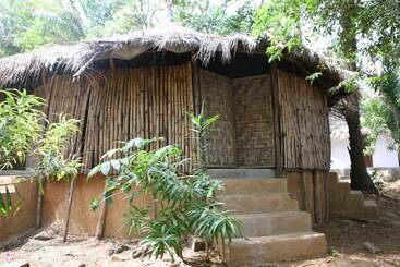 هتل Daltons Banana Guesthouse
