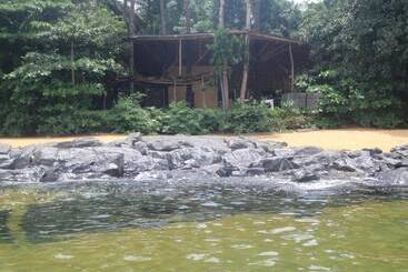 هتل Daltons Banana Guesthouse