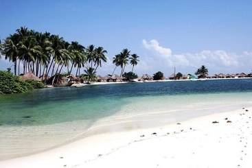 هتل Daltons Banana Guesthouse