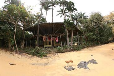هتل Daltons Banana Guesthouse