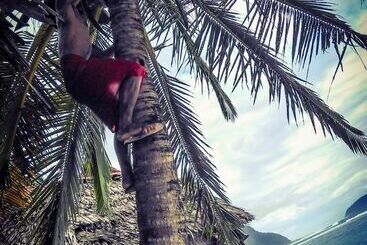هتل Faofao Beach Fales