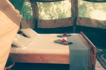 هتل Peponi Beach Resort