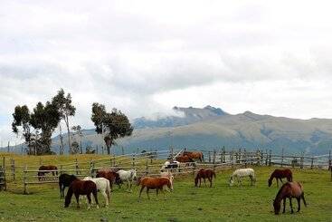 هتل روستایی Hacienda El Porvenir