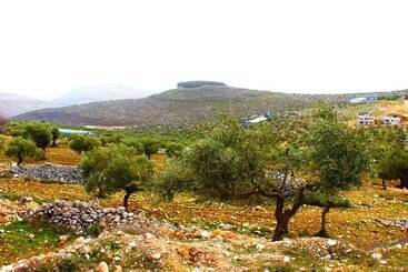 هتل Taybeh Golden