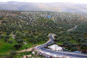 هتل Taybeh Golden