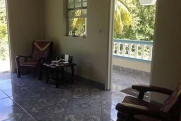 پانسیون The Jungle Room