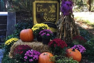 The Lion And The Rose B&b