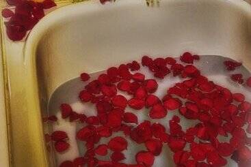 The Lion And The Rose B&b
