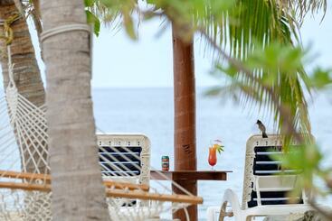 هاستل South Sea Island