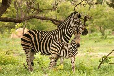 هتل Fathala Wildlife Reserve