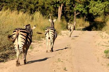 هتل Fathala Wildlife Reserve