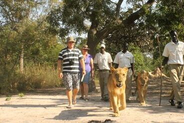 هتل Fathala Wildlife Reserve