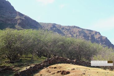 پانسیون Farinha De Pau   Eco Rural Project