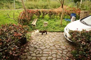 پانسیون Hsinchu Emei Canadian Woodhouse Homestay