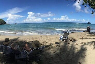 استراحتگاه Pagua Bay House Oceanfront Cabanas