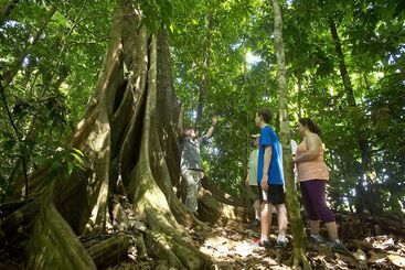 هتل Bosque Del Cabo Rain Forest Lodge