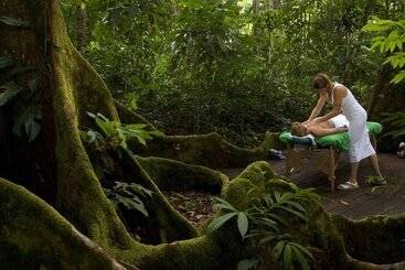 هتل Bosque Del Cabo Rain Forest Lodge