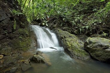 هتل Bosque Del Cabo Rain Forest Lodge