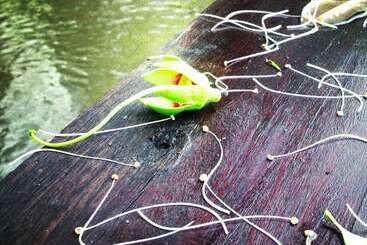 پانسیون Baan Siriporn Resort   โรงแรมบ้านศิริพร รีสอร์ท