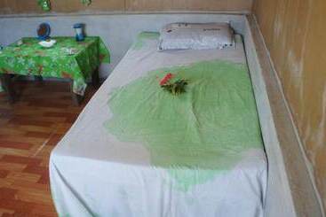 تختخواب و صبحانه Tanna Horizon Bungalows & Tours
