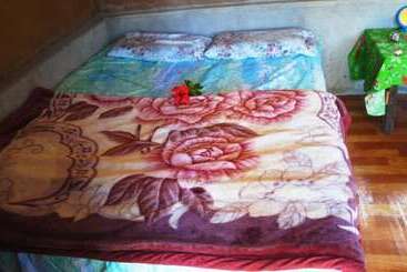 تختخواب و صبحانه Tanna Horizon Bungalows & Tours
