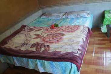 تختخواب و صبحانه Tanna Horizon Bungalows & Tours