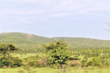 هتل Elangata Olerai Luxury Camp
